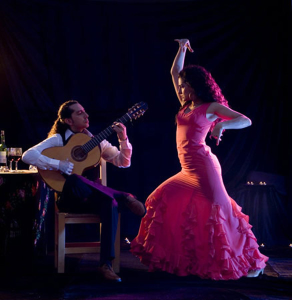 Guitar  flamenco